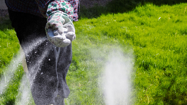 A person fertilizing their lawn 