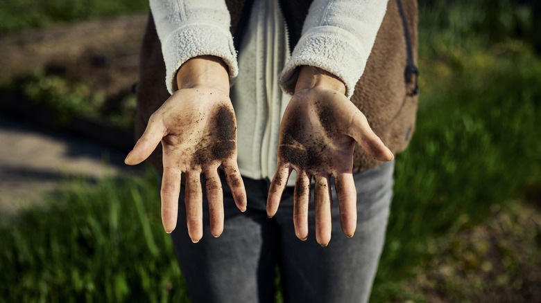 gardener's hands