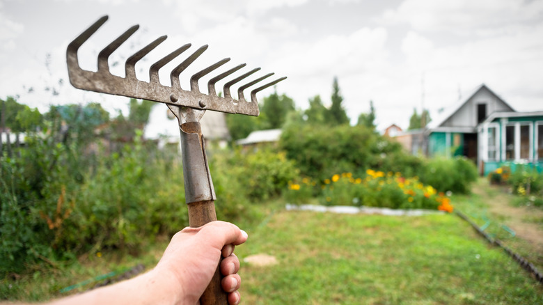 A man holding a rake 