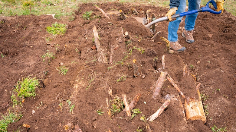 person using a shovel to add soil to a hügelkultur mound