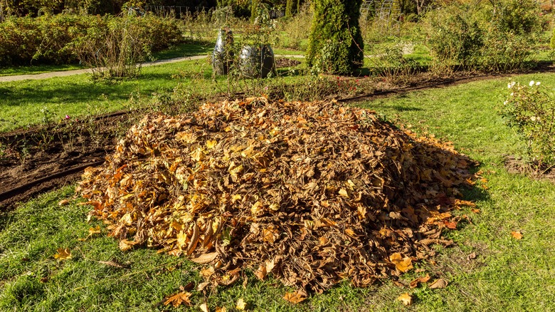 Leaf litter raked into a pile in a yard