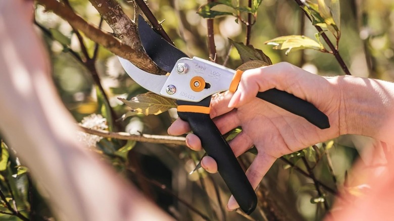 Fiskars Classic Bypass Hand Pruning Shears