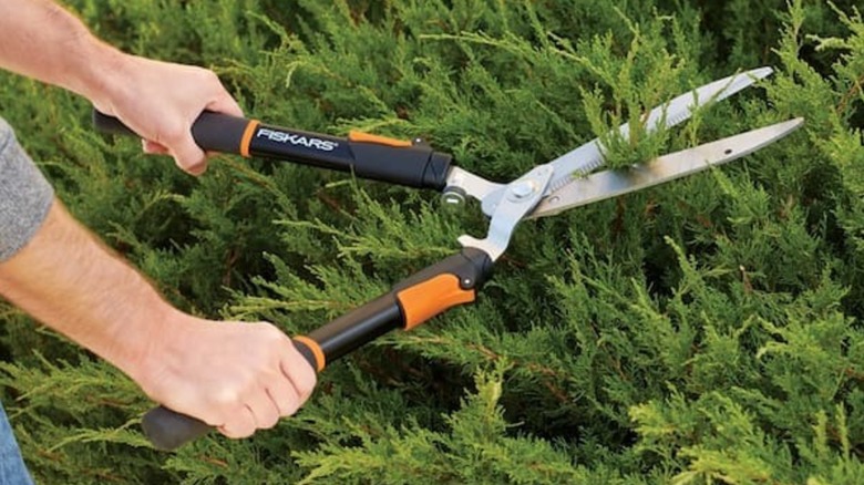 Fiskars Power-Lever Extendable Hedge Shears