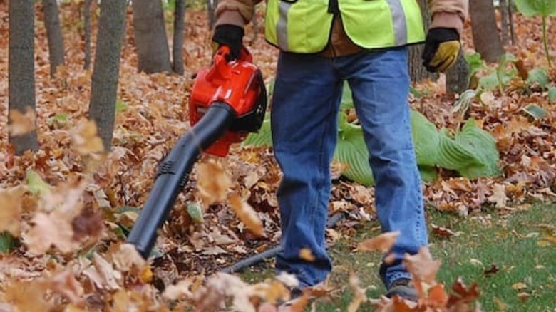 Echo PB-2520 Handheld Blower