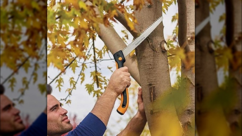 Fiskars Power Tooth Softgrip Pruning Saw