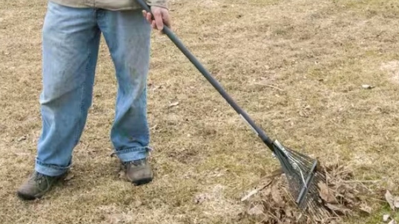 Razor-Back 51 in. 24-Tine Steel Rake