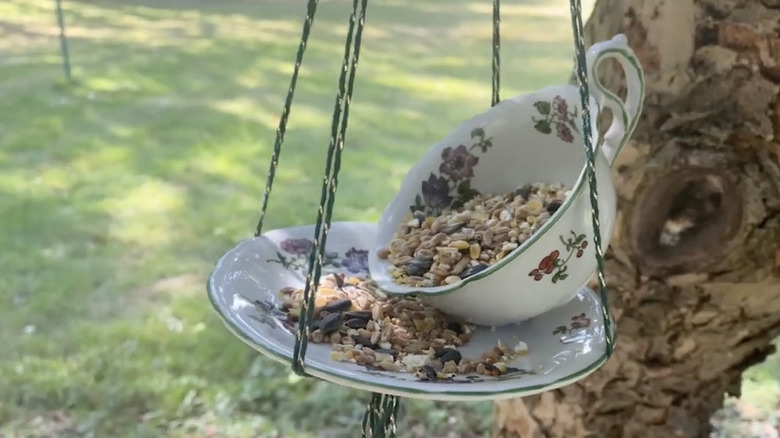 A white teacup and saucer hang by string from a tree, filled with bird seed