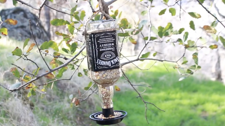 An upside-down Jack Daniel's bottle full of bird seed hangs from a branch.