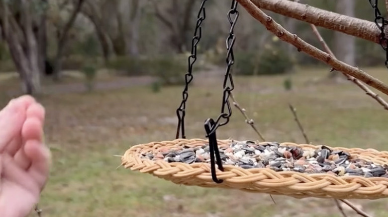 A woven plate charger filled with seed hangs from a tree.