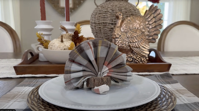 A napkin folded into a fan to look like turkey feathers