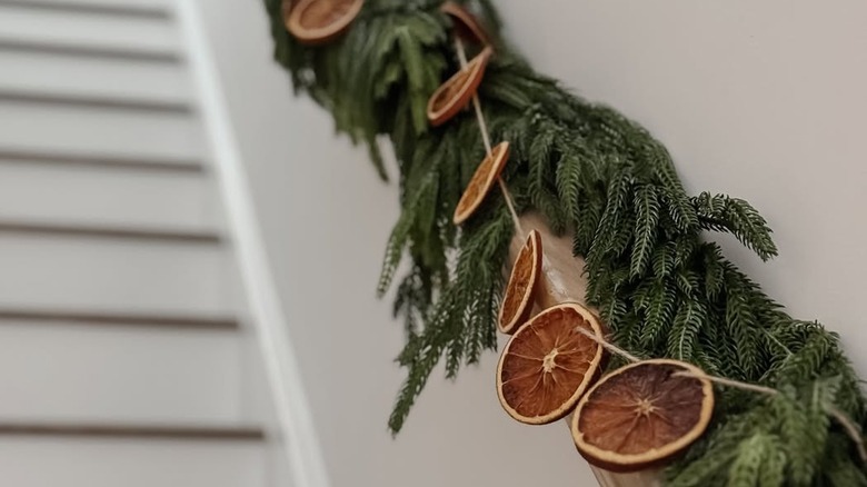 Dried orange garland in front of pine leaves