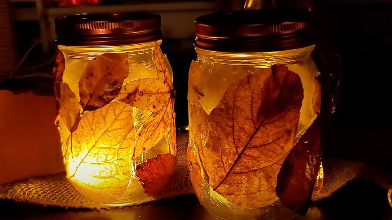 Two Mason jars with leaves covering them, lit from the inside