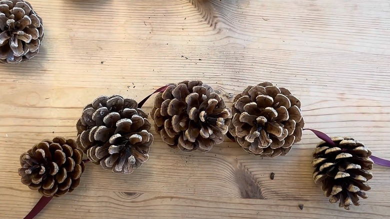 Pinecones with ribbon strung through them