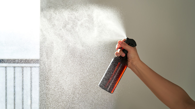 hand spraying air freshener