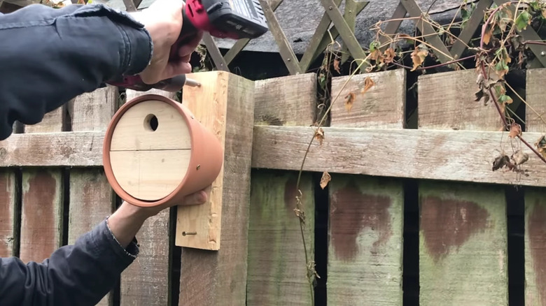 A man drills a birdhouse made from a plastic nursery pot and some scrap wood to a fence post.