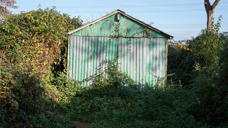 Worn down shed in the backyard
