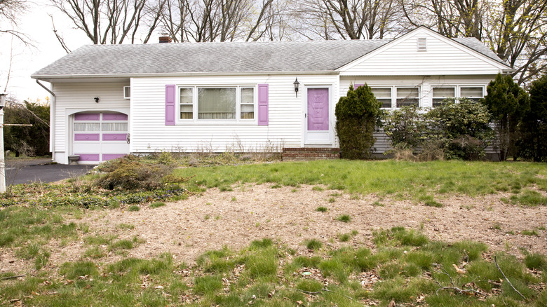 Home with bald lawn and bold paint colors