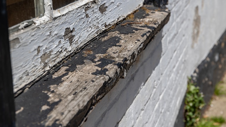 Peeling paint on windowsill