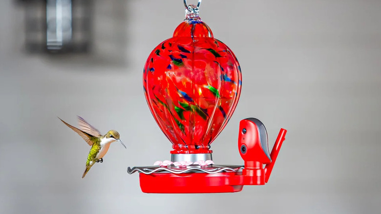 Solar Smart Hummingbird Feeder hanging with a hummingbird approaching