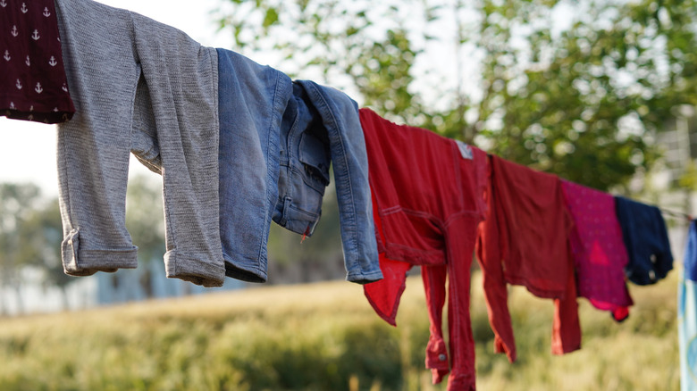 Jeans, shirts, and other garments hanging from a clotheslines outdoors
