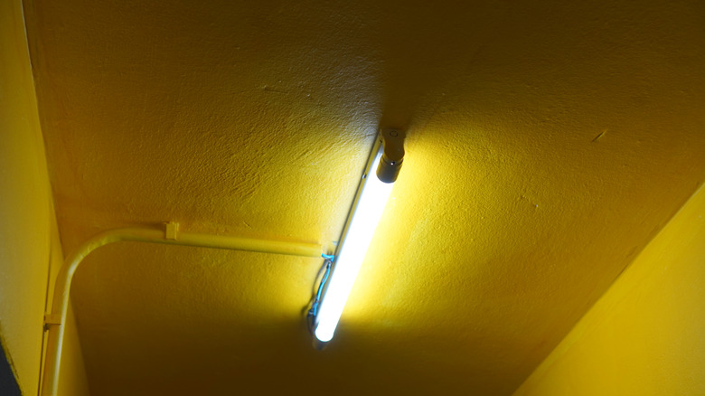 Fluorescent tube light on a yellow ceiling
