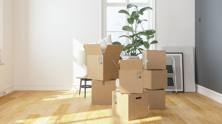 cardboard boxes in empty room