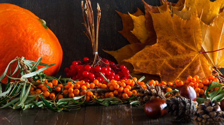 Tabletop still life with cranberries, pine cones, leaves and pumpkin