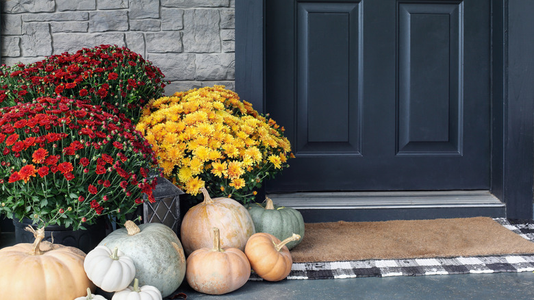 red and yellow mums on a front porch