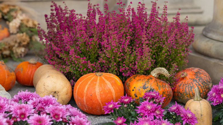 a fall porch display with squash, mums, and heather