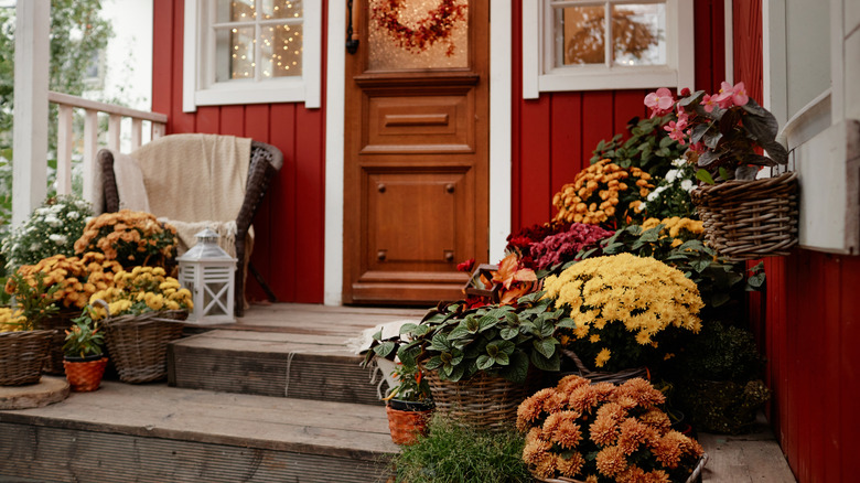 a porch full of colorful fall plants
