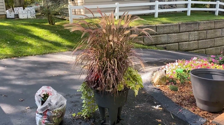 ornamental grass planter with new fall plants added to it