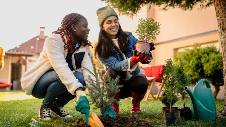 Two women planting potted tree saplings in a backyard.