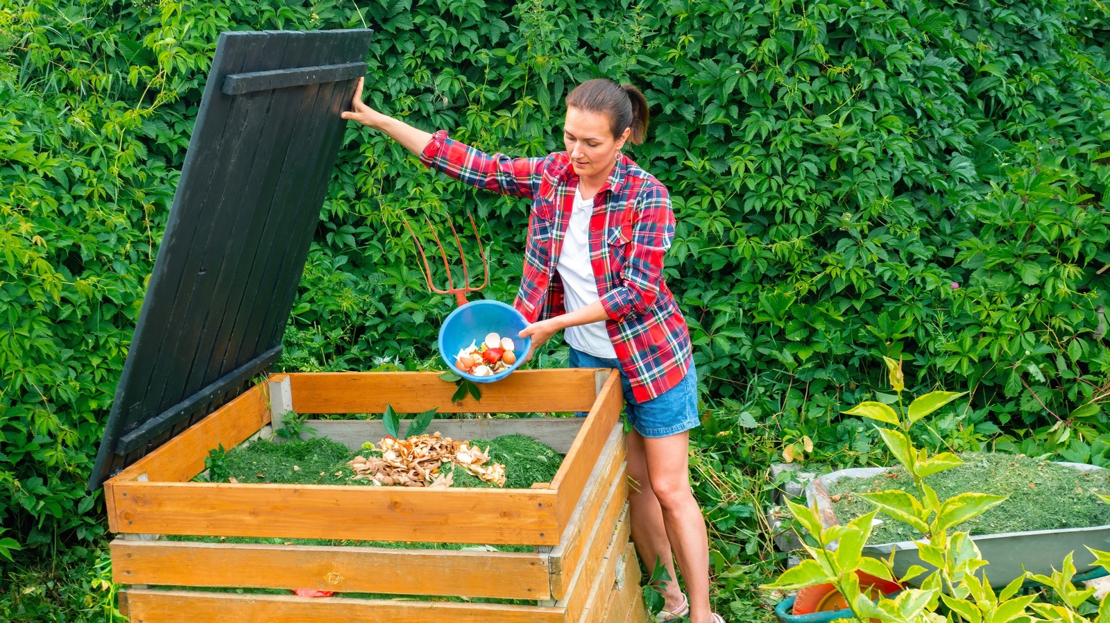 This easy indoor compost system turns food scraps into fertilizer in 24  hours