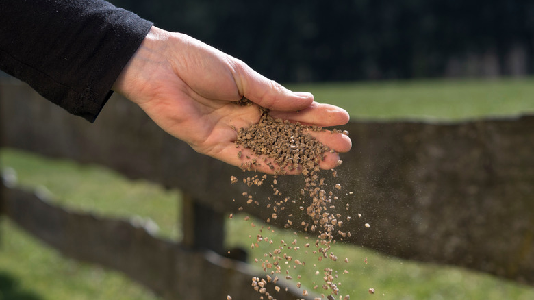Fertilizer falling from a hand