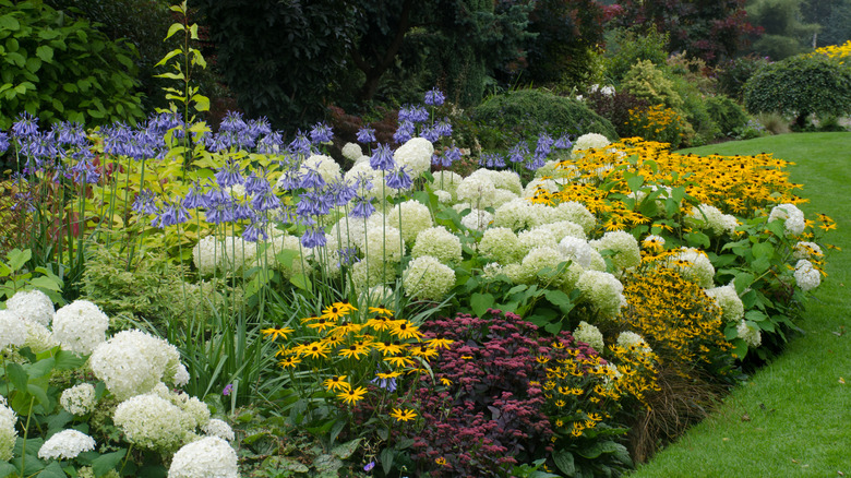Detail of a perennial garden in bloom