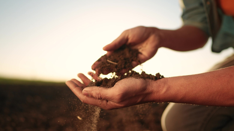 soil in the hands of the farmer