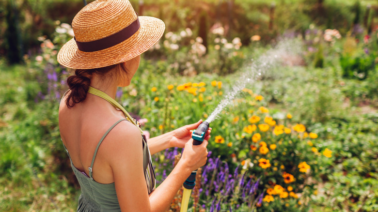Back view of woman gardener in straw hat watering plants with hose