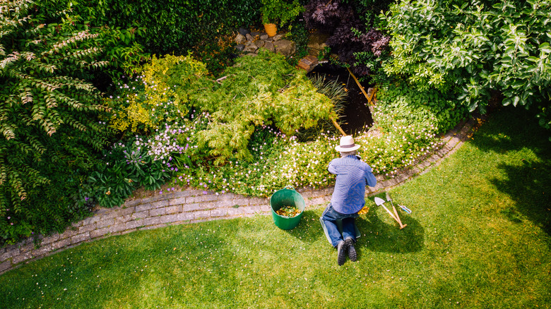 Aerial shot of older person working on garden landscaping.