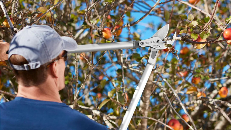 A man cutting a branch with the DOYLE lopper.