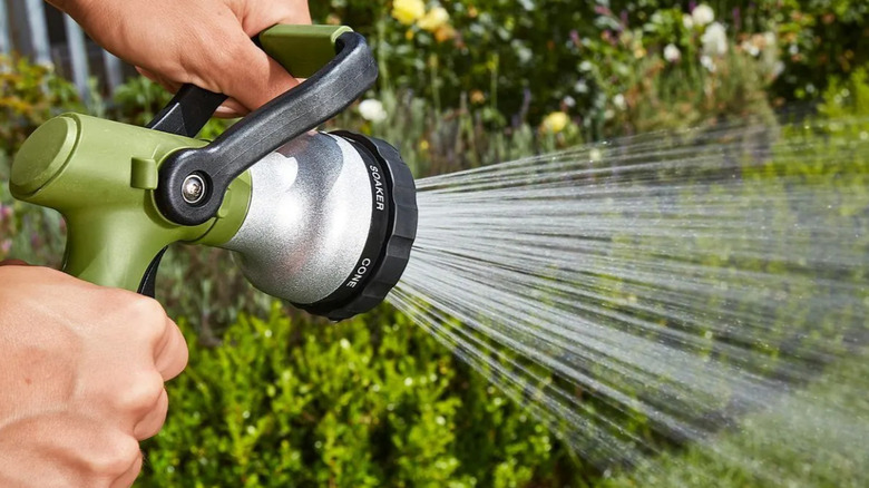 A gardener spraying the yard with the soaker nozzle.