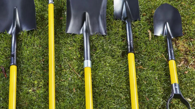 Gardening tools from One Stop Gardens lying in the grass.