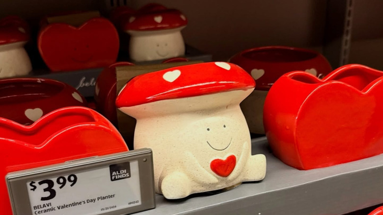 Heart and mushroom ceramic planters