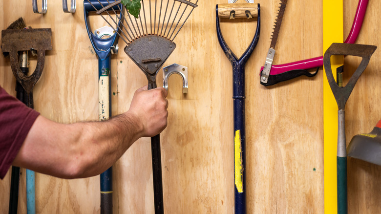 A man in a red short hanging a rake in a tool shed.
