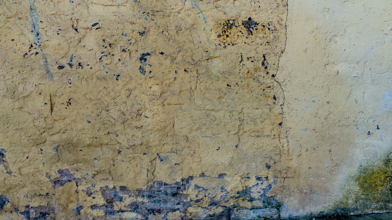 damp on wall in old house