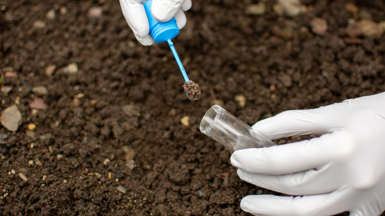 Researcher collecting soil sample in a test tube