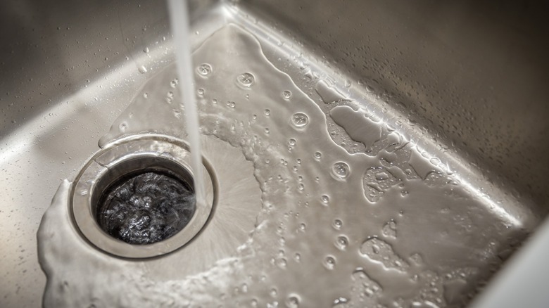 Water pouring into clean garbage disposal