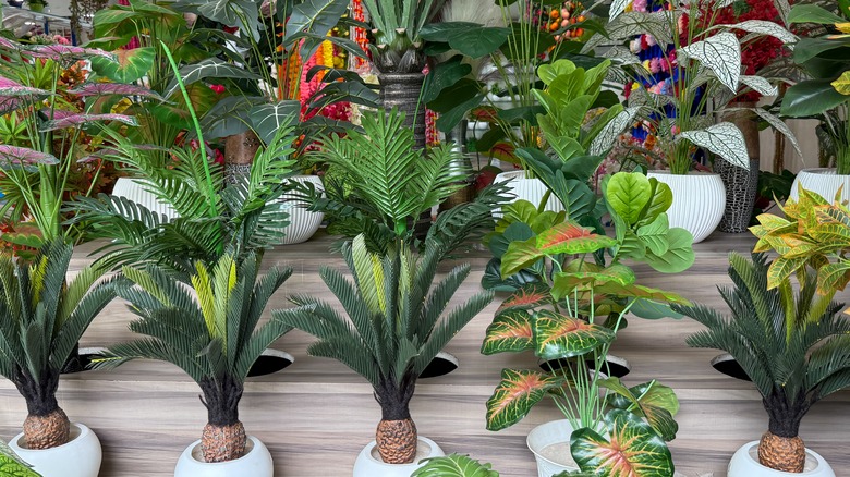 assortment of artificial plants