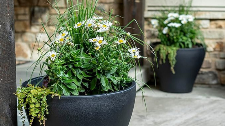 Step2's 24 x 20-inch Self-Watering Planters in a patio setting