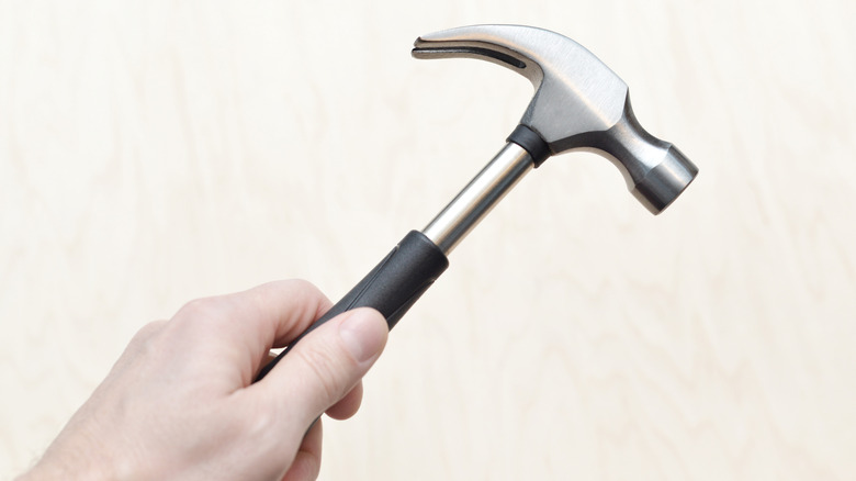 Hand holding a small claw hammer
