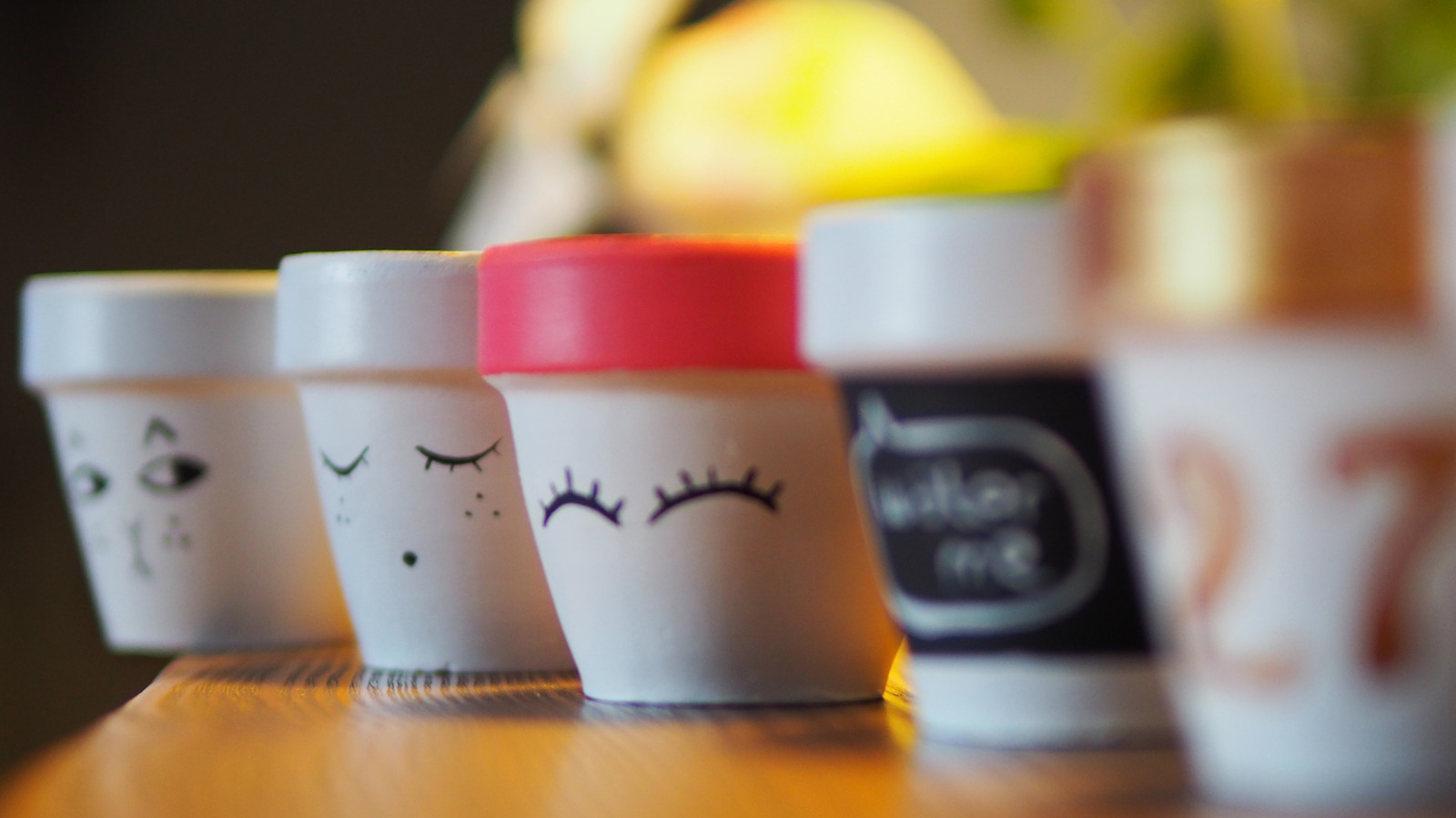 16 Of The Best Flowers To Grow In Mini Plant Pots For A Whimsical Garden